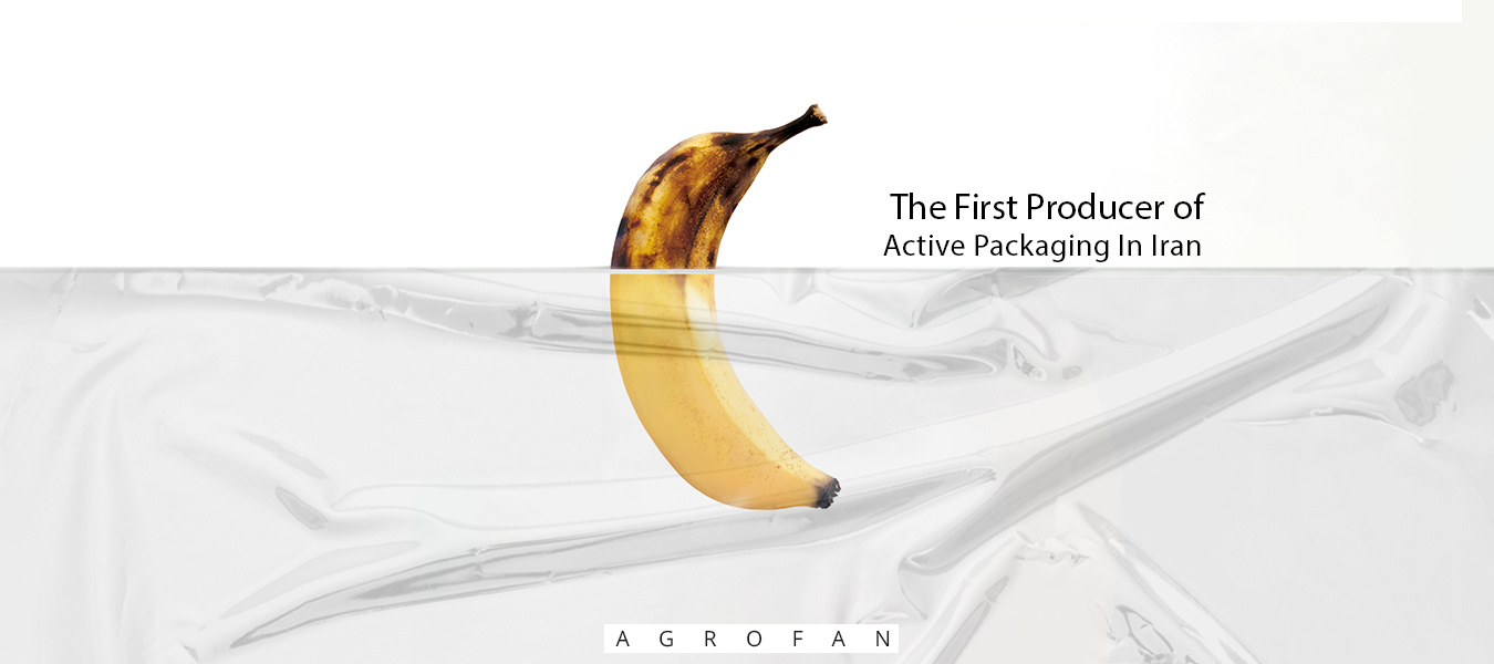 The First Producer of Active Packaging In Iran
